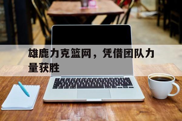 海星体育-雄鹿力克篮网，凭借团队力量获胜